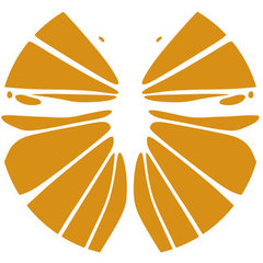 Monarca Builders