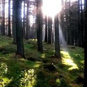 Amy Breen's photo