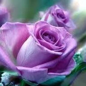 Lyne Dumont's photo