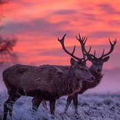 michael sexton's photo