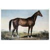 "Celebrated Horse "Lexington" Digital Paper Print by Currier and Ives, 24"x16"