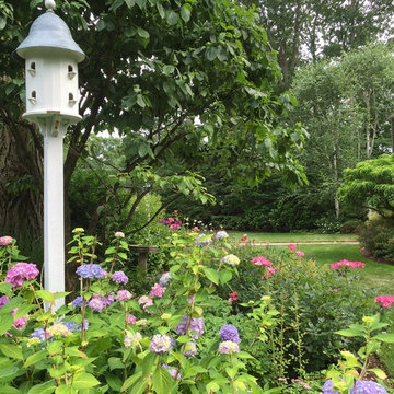 Flowering Hydrangea under Bird house