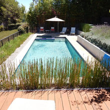 chappy pool