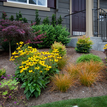 Margie's Entry Landscape