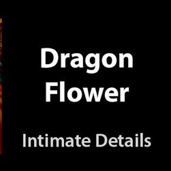 Dragon Flower - Fine Art Prints