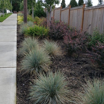 NEW LANDSCAPE DESIGN