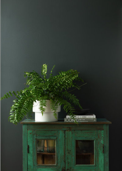 by Haymes Paint