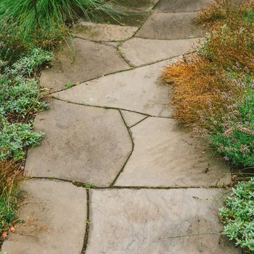 Audubon Certified Backyard Habitat