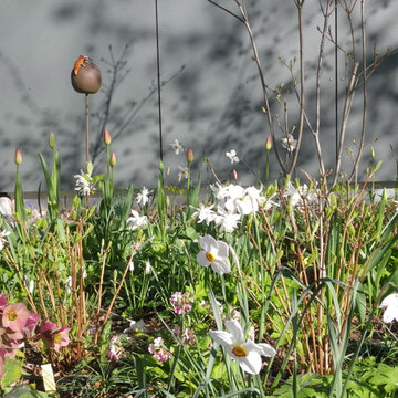 Hausgarten Bergfelde