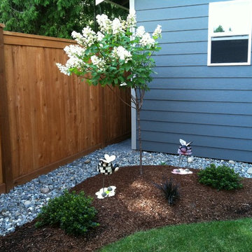 Edmonds Backyard