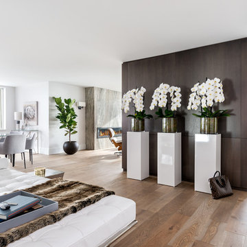 Bay Bloor Penthouse