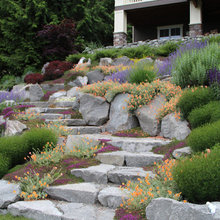Plant Design