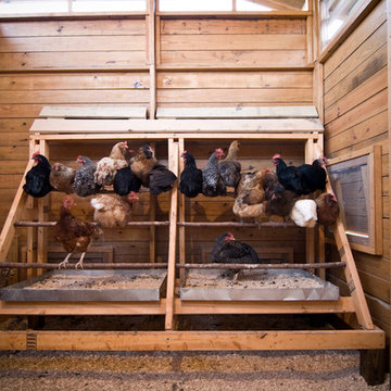 Alabama chicken coop