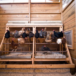 Chicken Roost Ladder Houzz