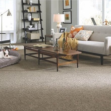 Gray/Beige Carpet