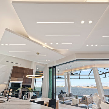 Sand Dollar Model