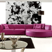 Living Room Ideas