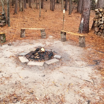 Piney Woods Cabin