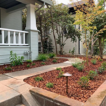 Curtis park rehabilitation