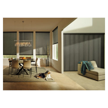 ROLLER SHADES & SKYLINE PANELS - Hunter Douglas Designer