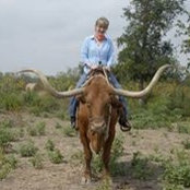 Marta Stafford's photo