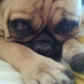 Foto von Bobbi Field