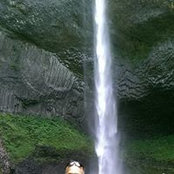 Rakesh Gupta's photo
