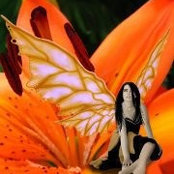 Foto von Lisa Tiffany