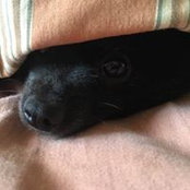 Christopher Rizza's photo