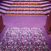 Carmen Schuerman's photo