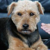 Foto von Christine Hall