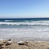 Tracy Janik Rivard's photo