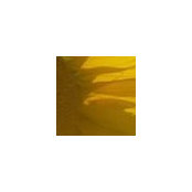 Lisa Davies's photo