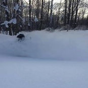 Chris Bardell's photo