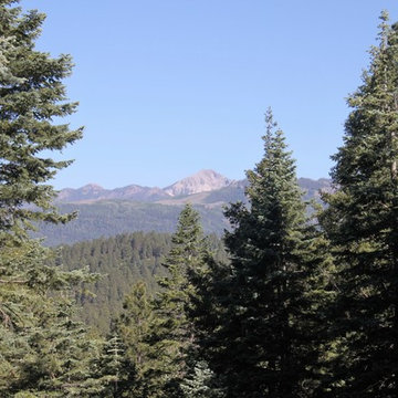 Colorado Mountain Home
