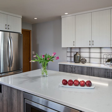 Argay Park Contemporary Kitchen