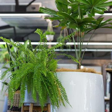 Canva - Warehouse Garden