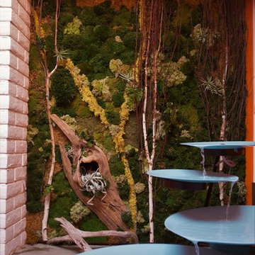 Vertical Garden Designs - La Jolla