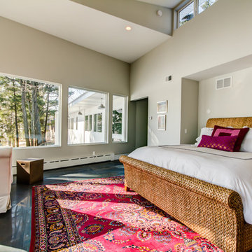 Mid Century Remodel