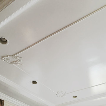 Ceiling Medallions & Domes