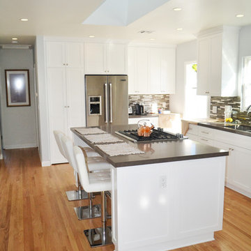 Burbank kitchen Remodel