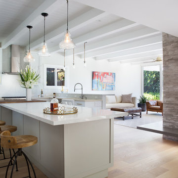 Mid-century Modern - Home Remodel