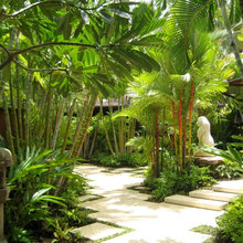 Kauai Landscaping Ideas