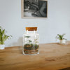Serene Spaces Living Terrarium Vase with Cork, Jar