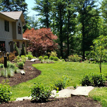 Back Patio