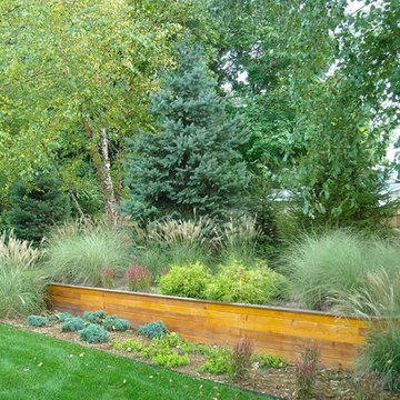 Privacy Screen