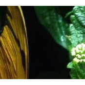Christina Sutter's photo
