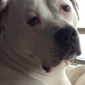 Michelle Trickett's photo