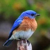 Mary Jane Huth's photo