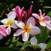 Keli Bailey's photo